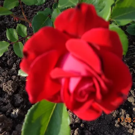 Апарт-отель Apart Hills Каварна