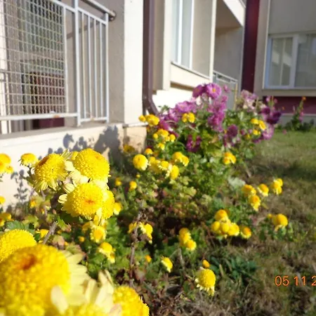 Apart Hills Kavarna