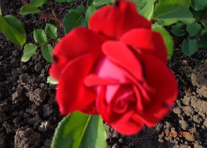 Апартхотел Apart Hills Каварна