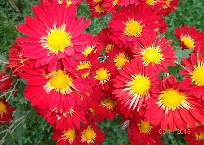 Apart Hills Апартхотел *